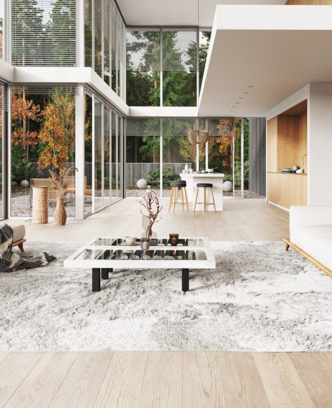 modern living interior. 3d illustration design concept